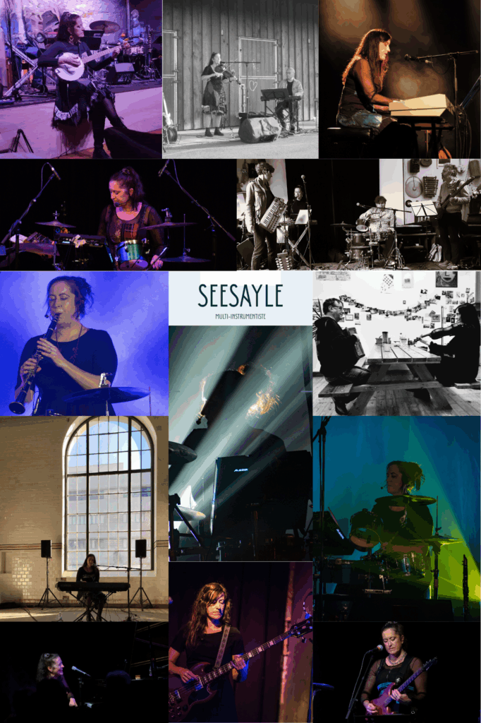 Seesayle - Fratin fév. 2017